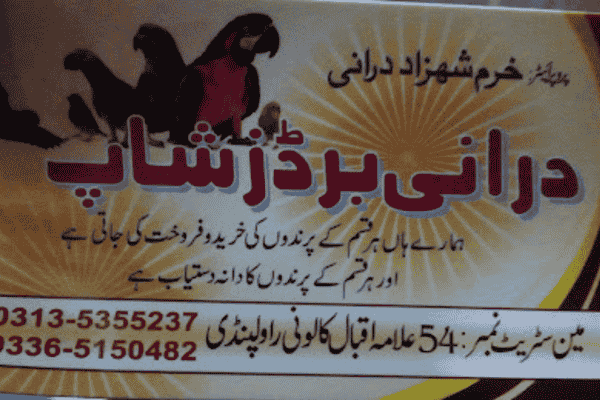 Durrani Bird Shop