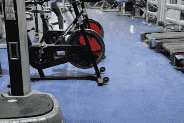 Super gold gym (official)